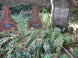 image of grave number 741463
